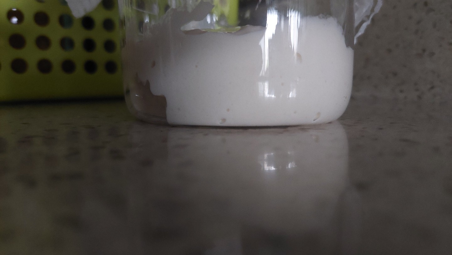 밀가루 이걸로 사봤어요