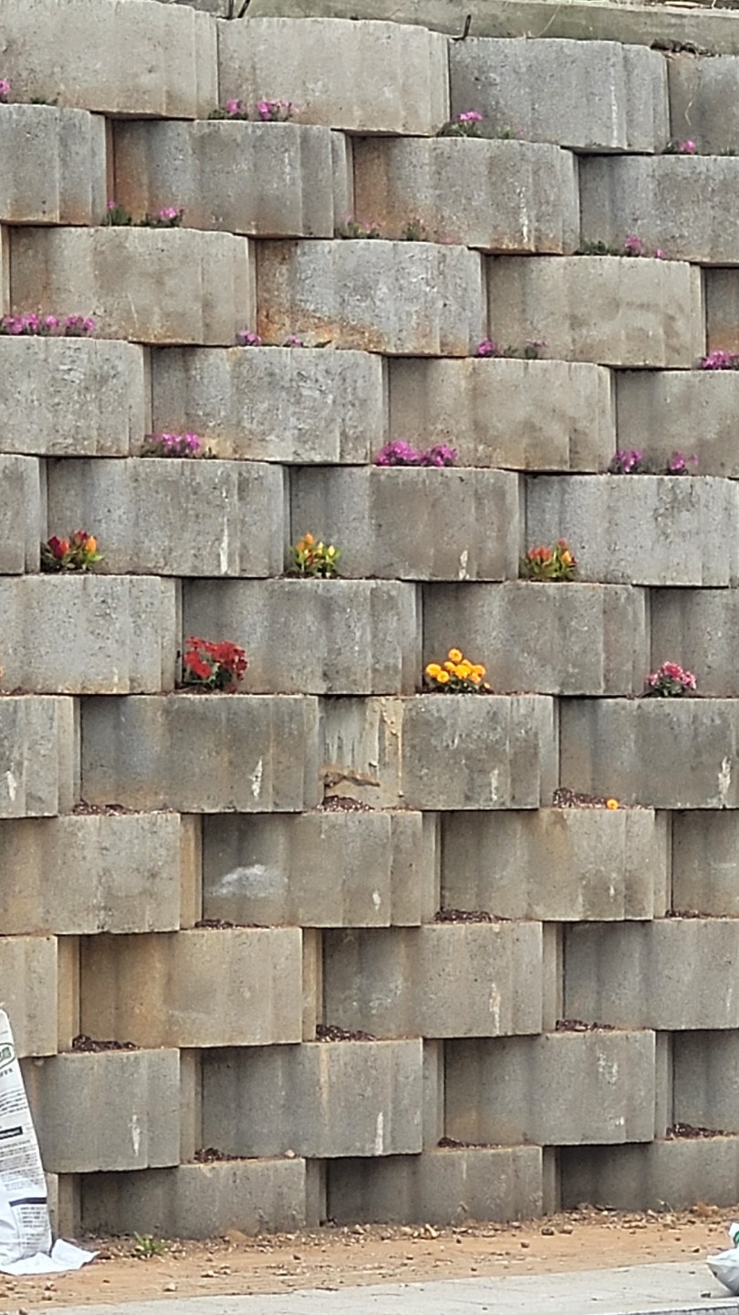 저녁은 배터지개