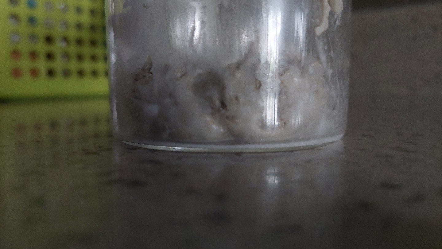 밀가루 이걸로 사봤어요