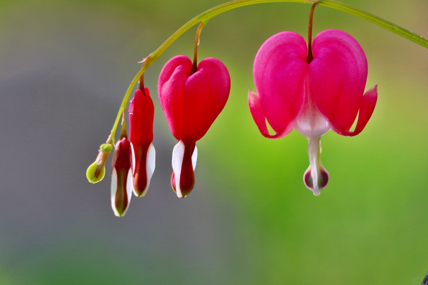 봄꽃향기 내뿜는 4월 세번째 토요일 가족들과 즐거운 시간 보내세요.