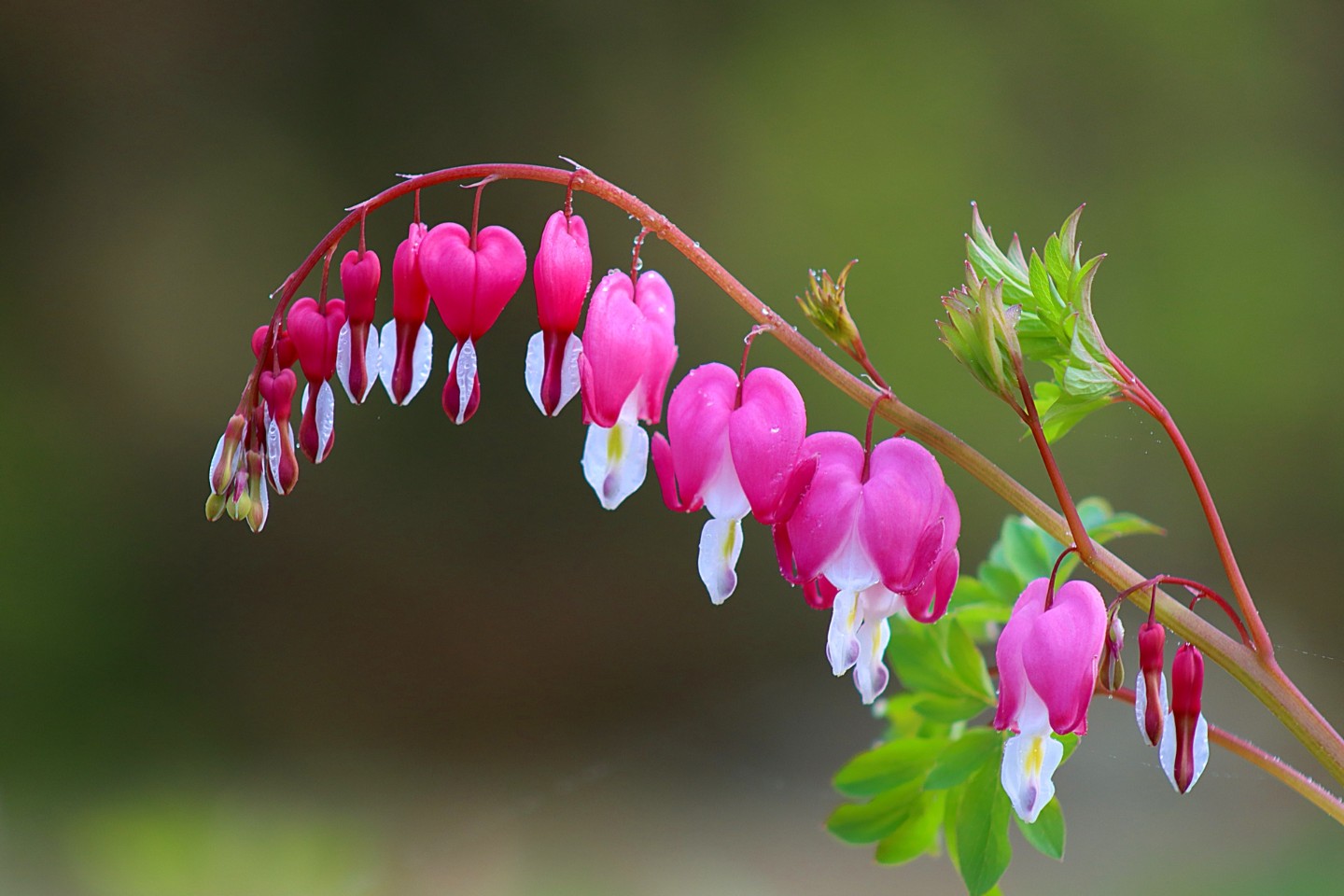 봄꽃향기 내뿜는 4월 세번째 토요일 가족들과 즐거운 시간 보내세요.