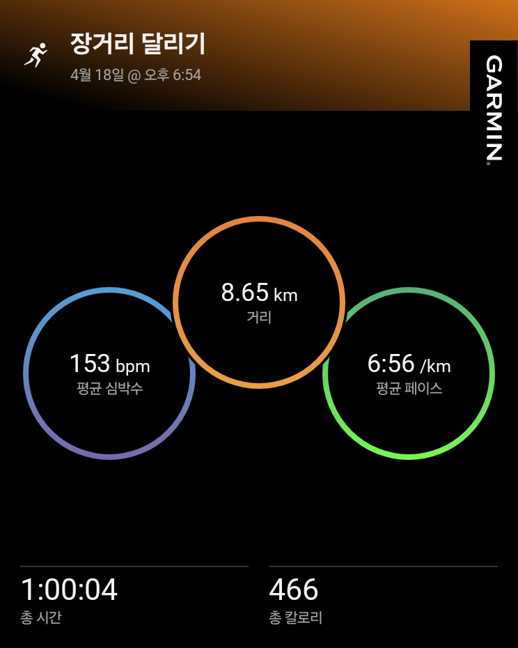 가민이 숙제중!