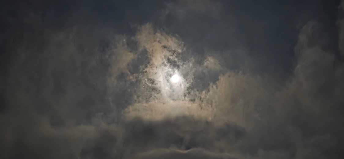 Post image 6