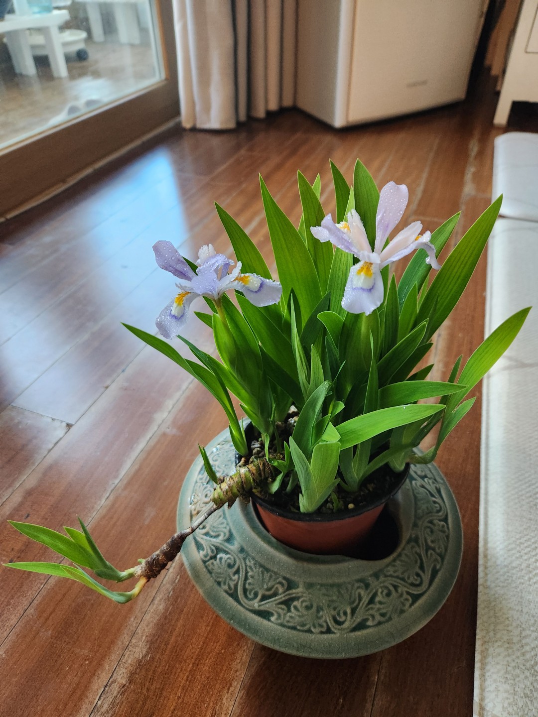 Post image 4