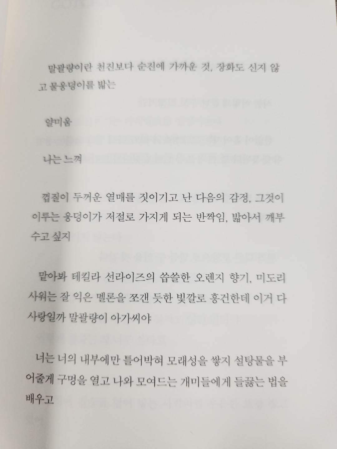Post image 11