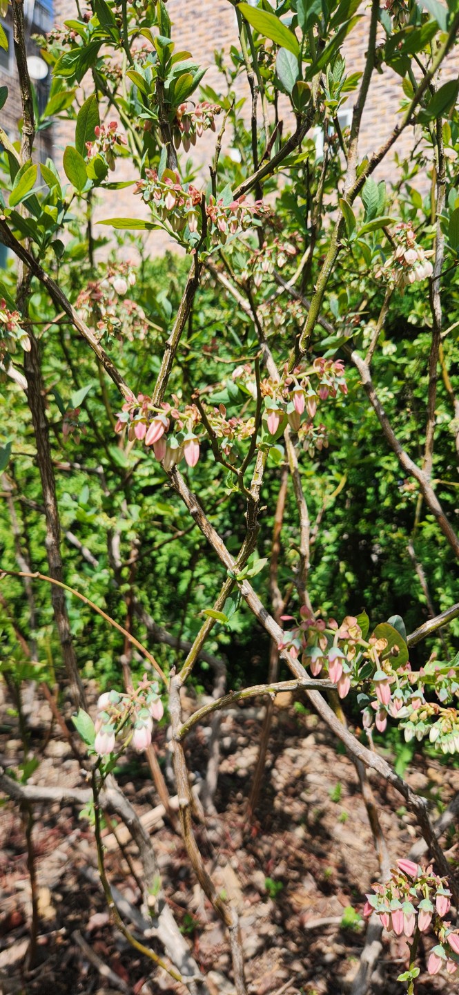 Post image 11