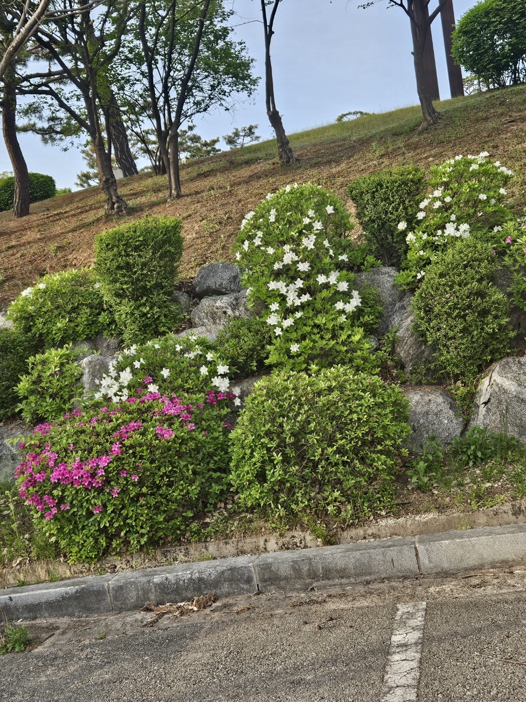 Post image 6