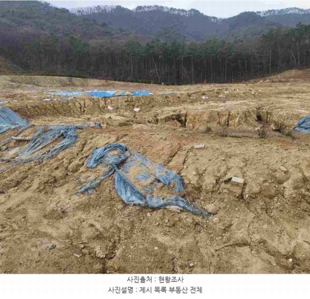 Post image 7