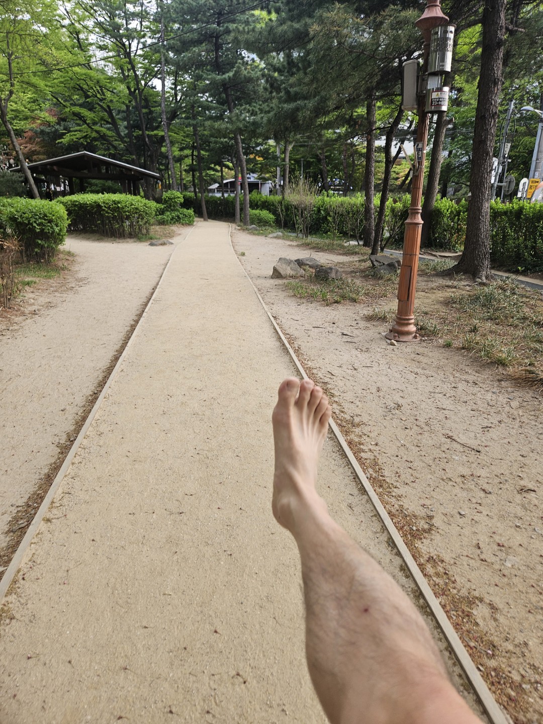Post image 11