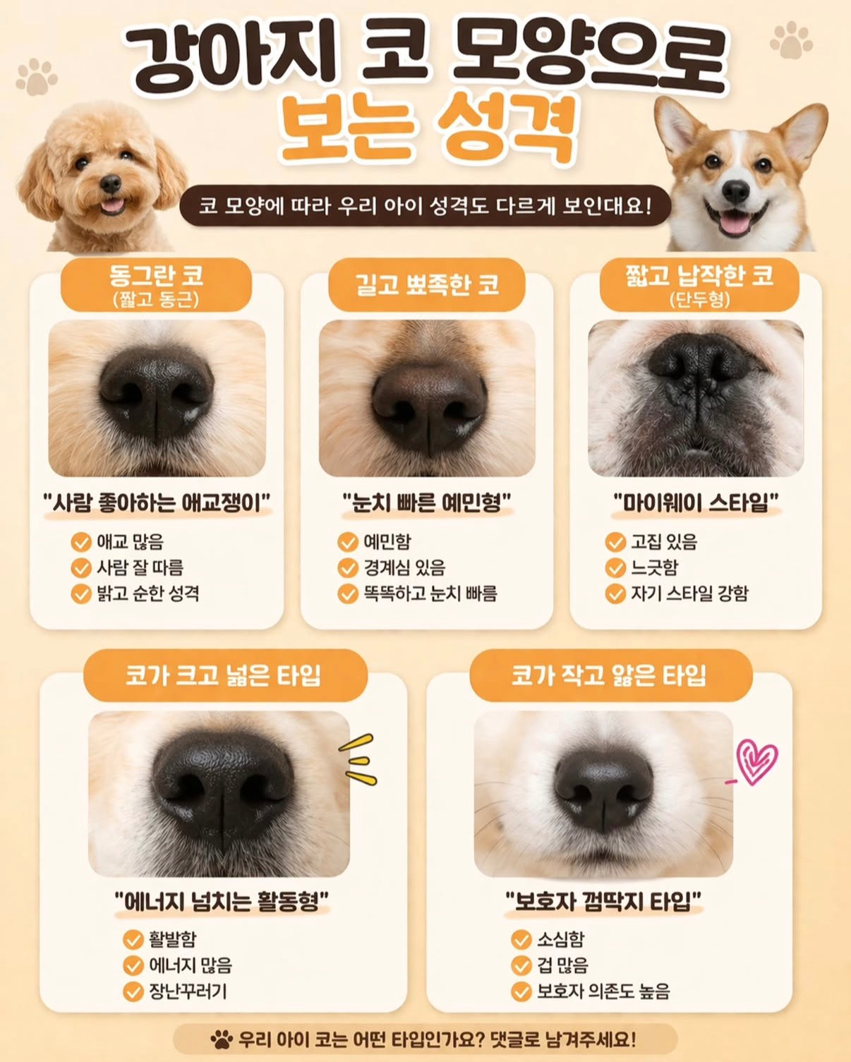 강아지 코 모양으로 보는 성격🐶