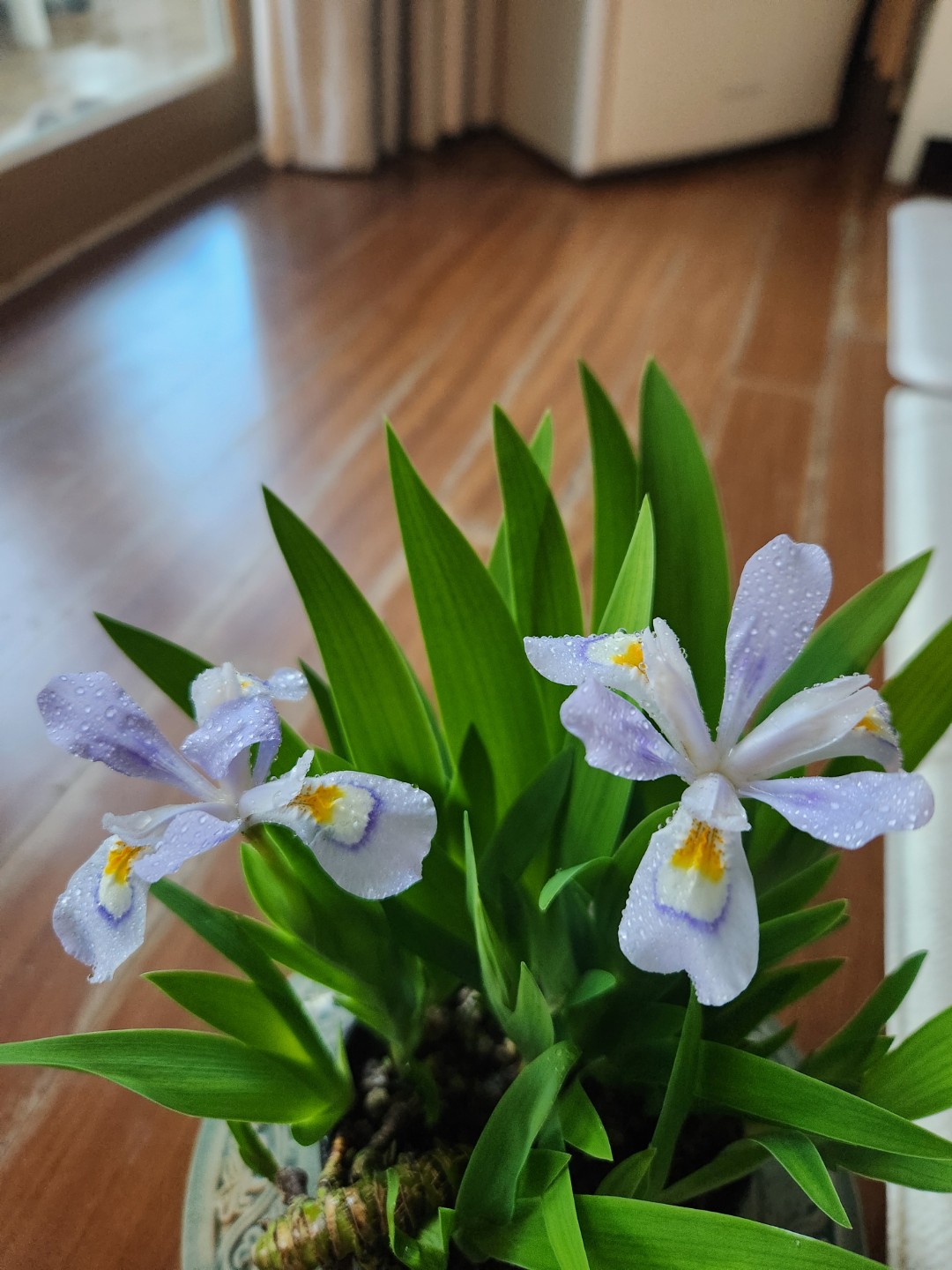 Post image 2