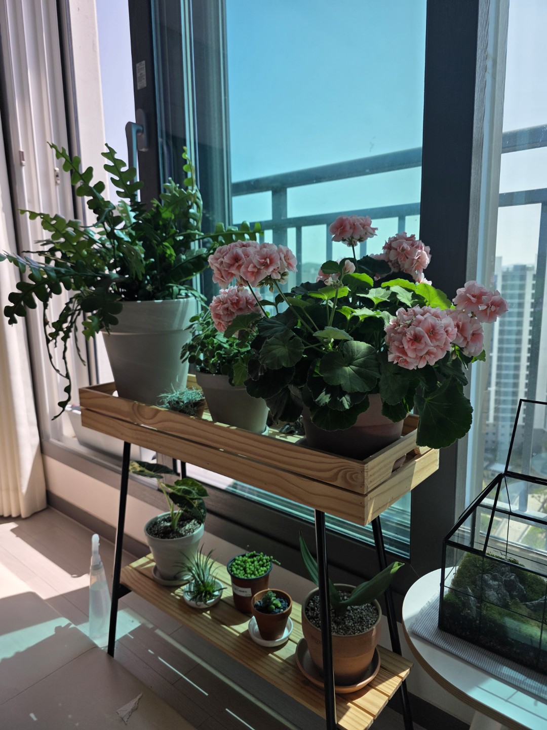 Post image 10