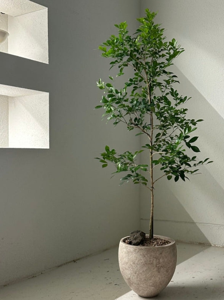 Post image 16