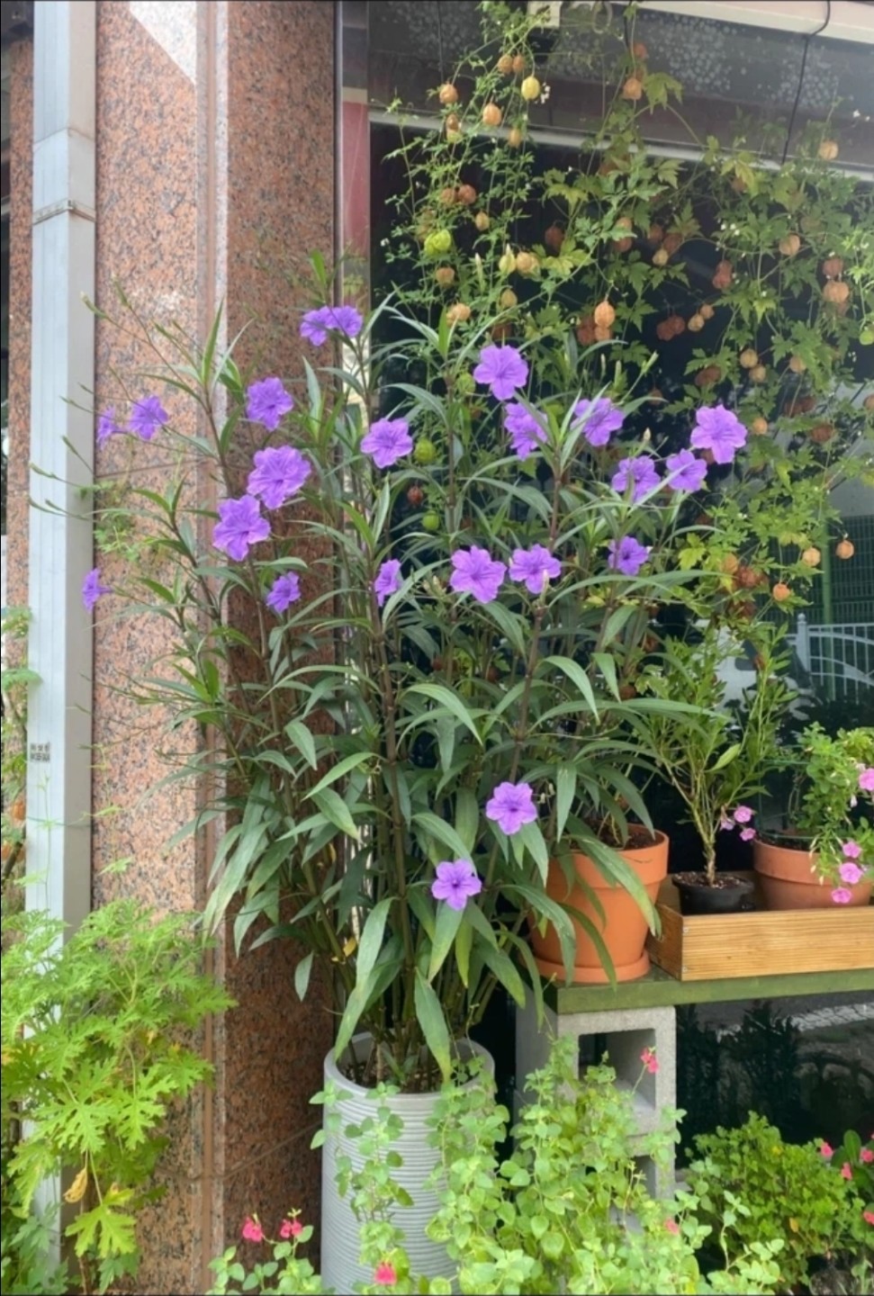 Post image 11