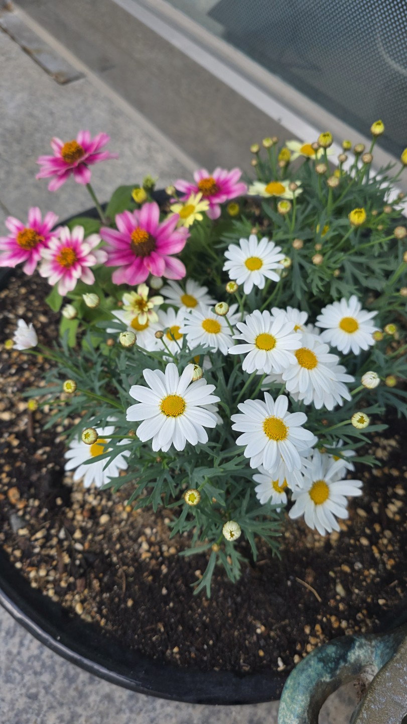Post image 6