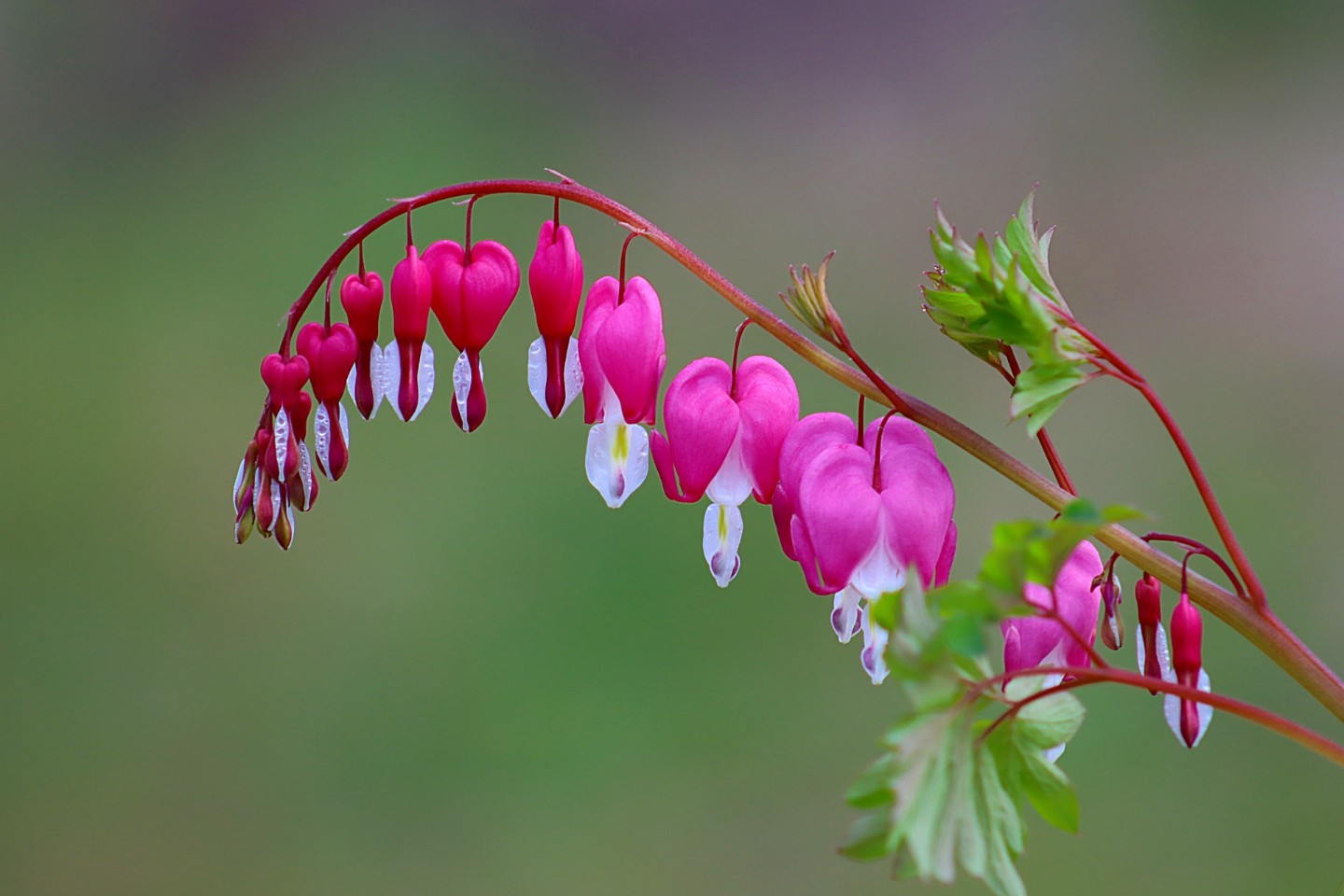 봄꽃향기 내뿜는 4월 세번째 토요일 가족들과 즐거운 시간 보내세요.