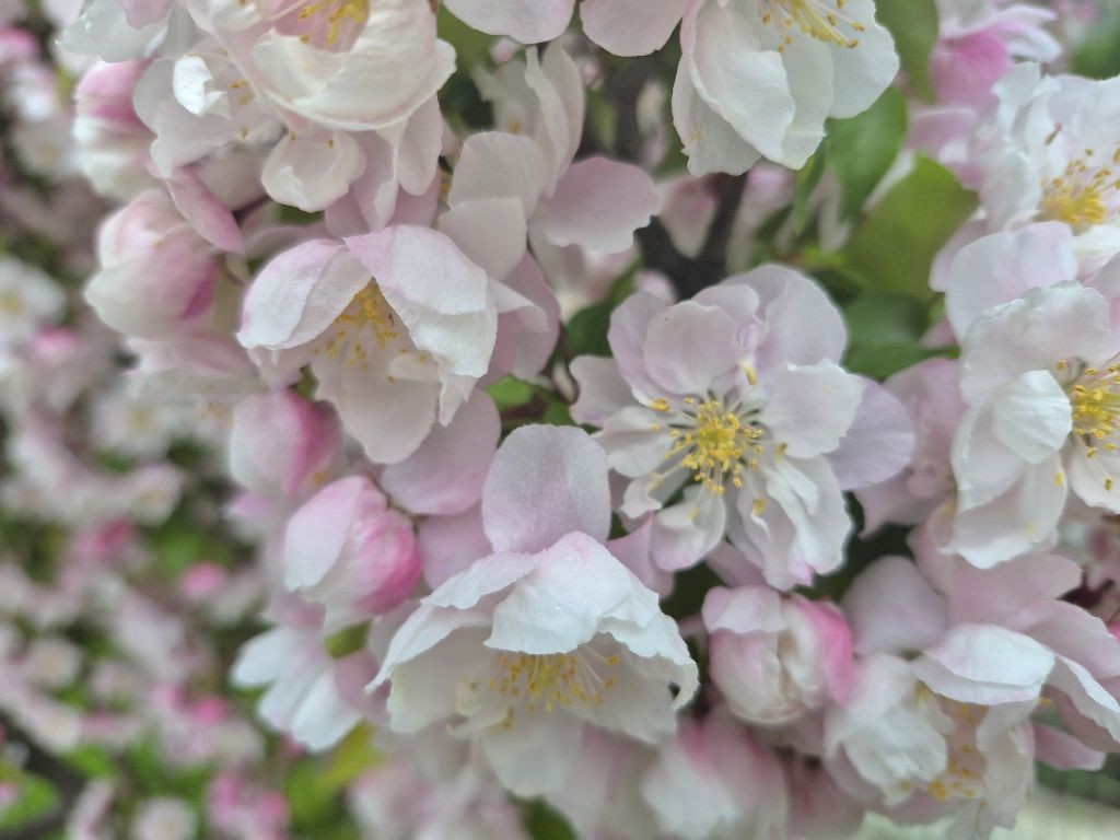4월 새번째 주말 상쾌한 맘으로 나드리하 여 즐건 하루 웃어며 보내세요.