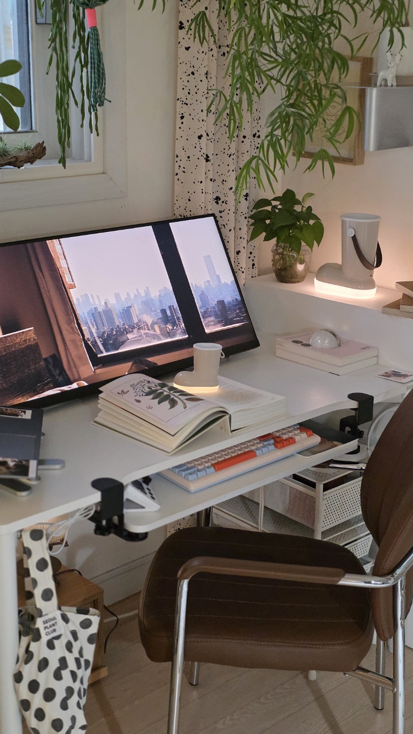 ​🌿 [우리동네] 식물에 진심인 분들, 같이 '집꾸'해요! (초보 환영)