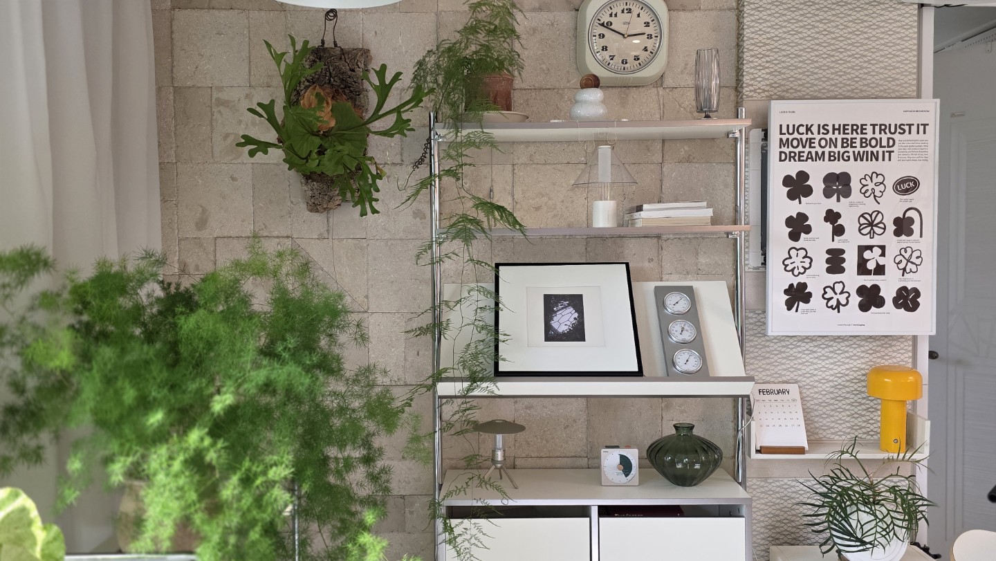 ​🌿 [우리동네] 식물에 진심인 분들, 같이 '집꾸'해요! (초보 환영)