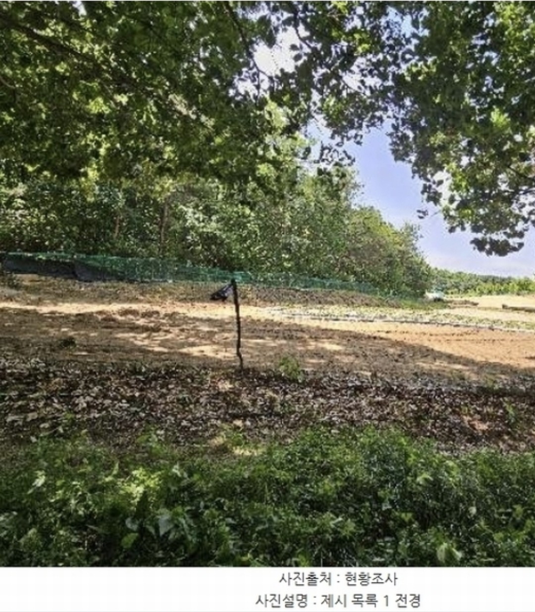 Post image 6