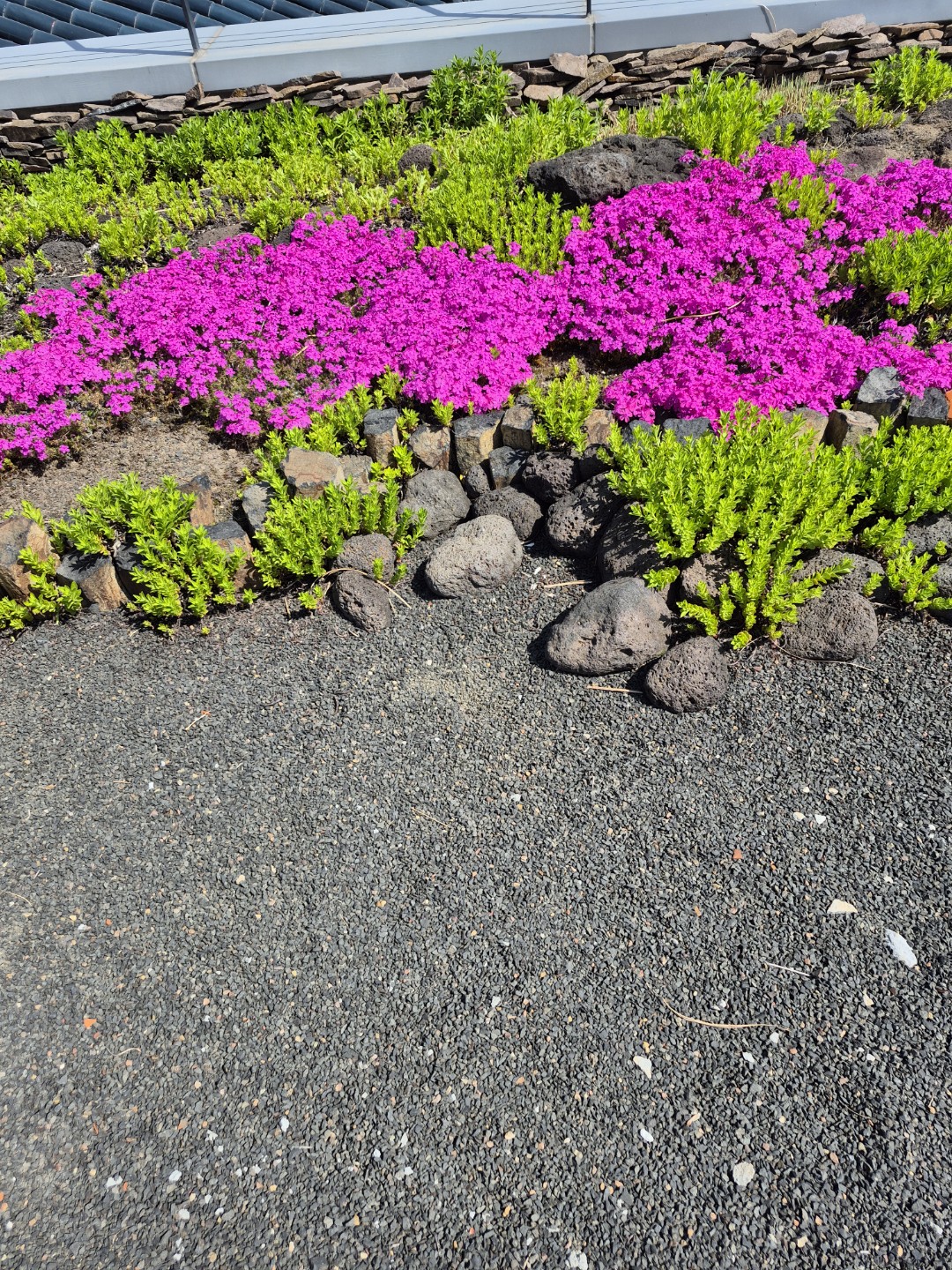 바다가 보고 싶어요