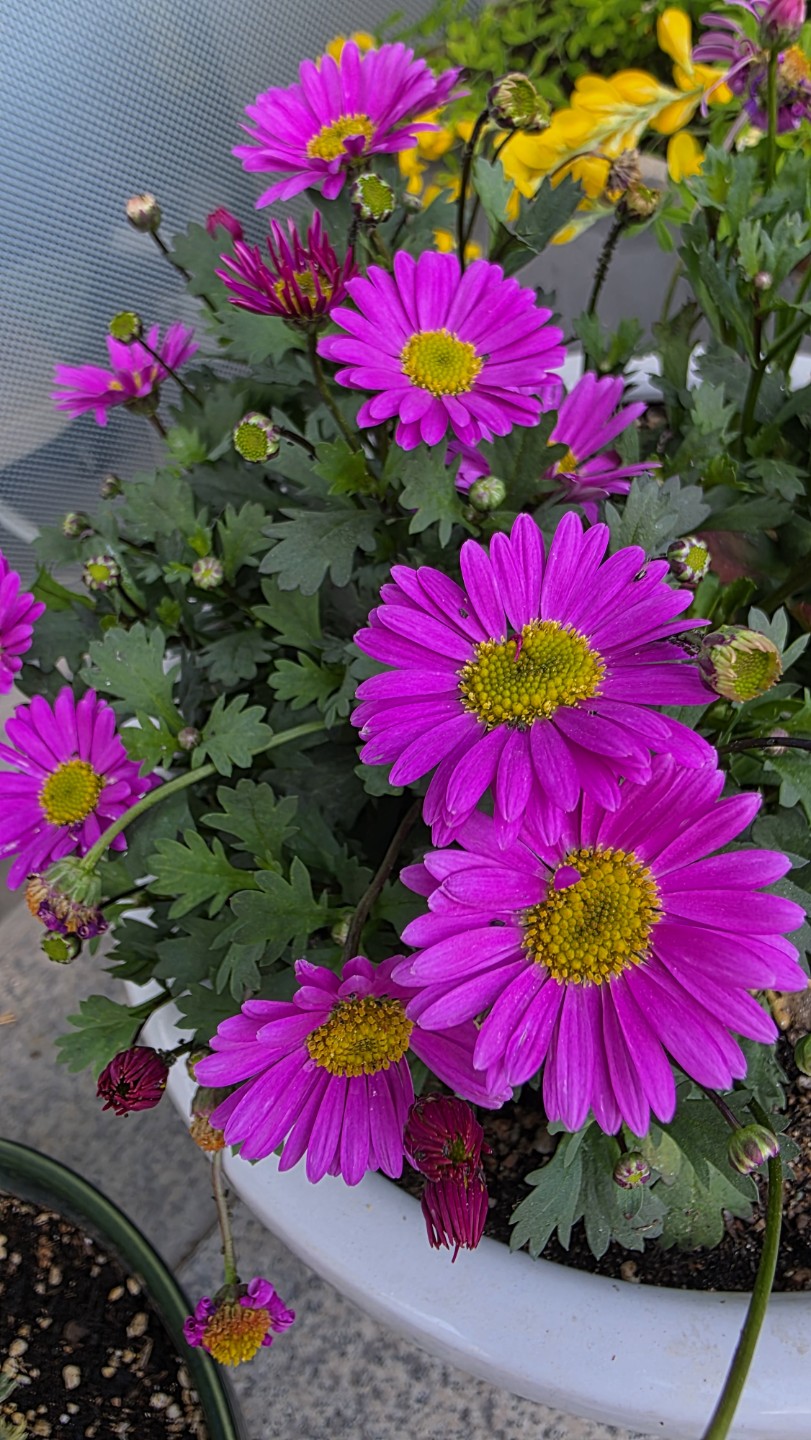 Post image 10