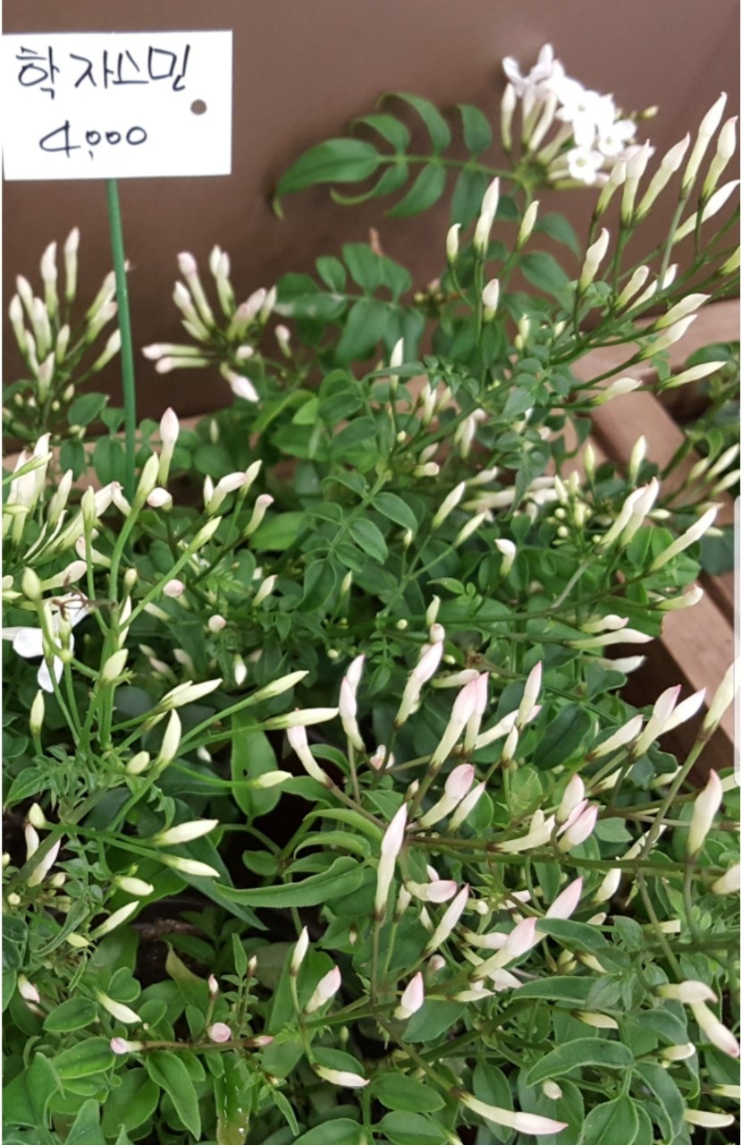 Post image 10