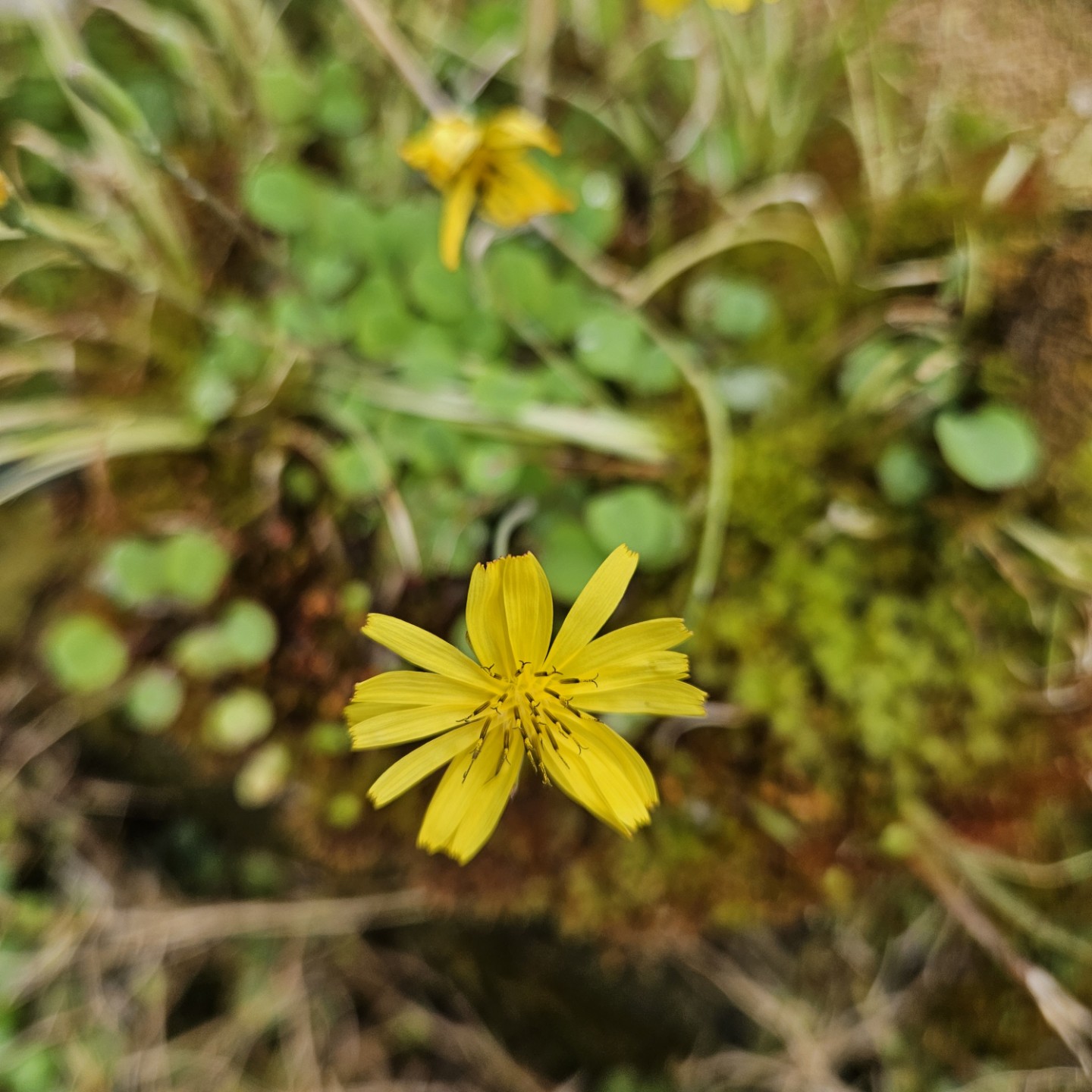 Post image 3