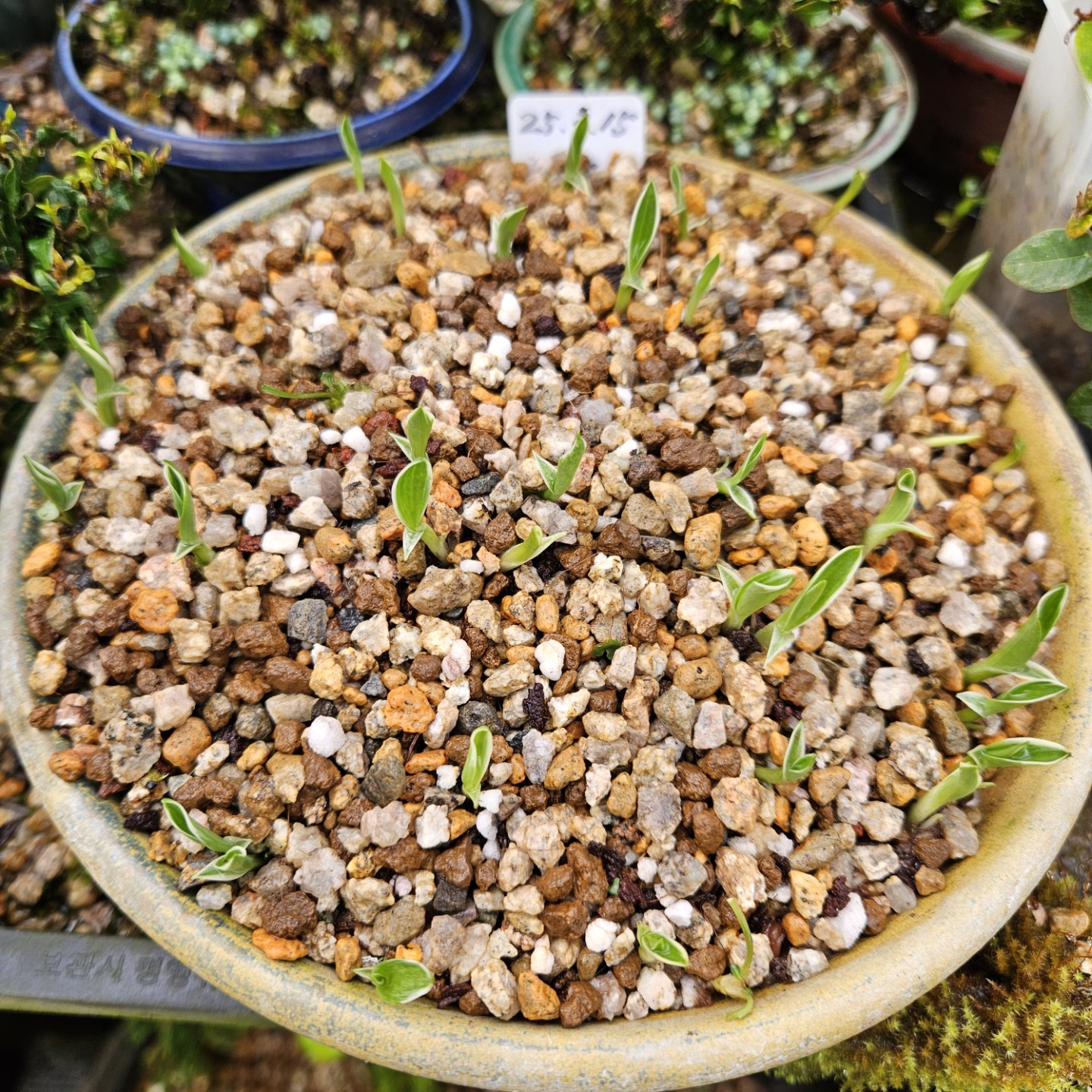 Post image 1