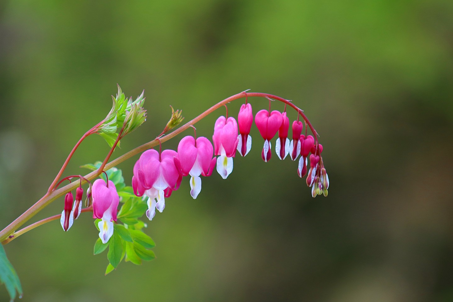 4월 새번째 주말 상쾌한 맘으로 나드리하 여 즐건 하루 웃어며 보내세요.