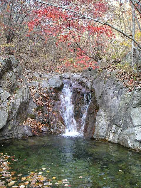 Post image 8