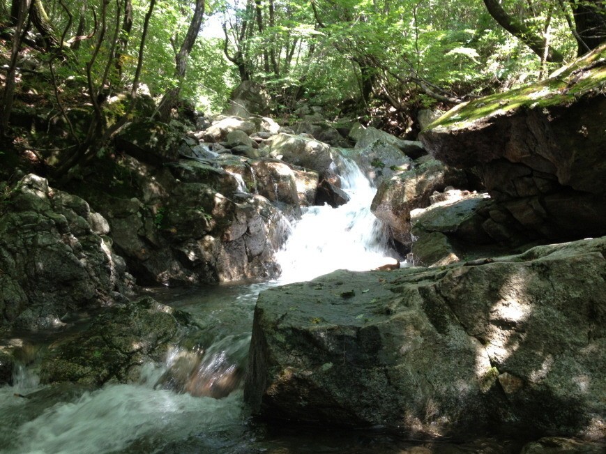 Post image 10