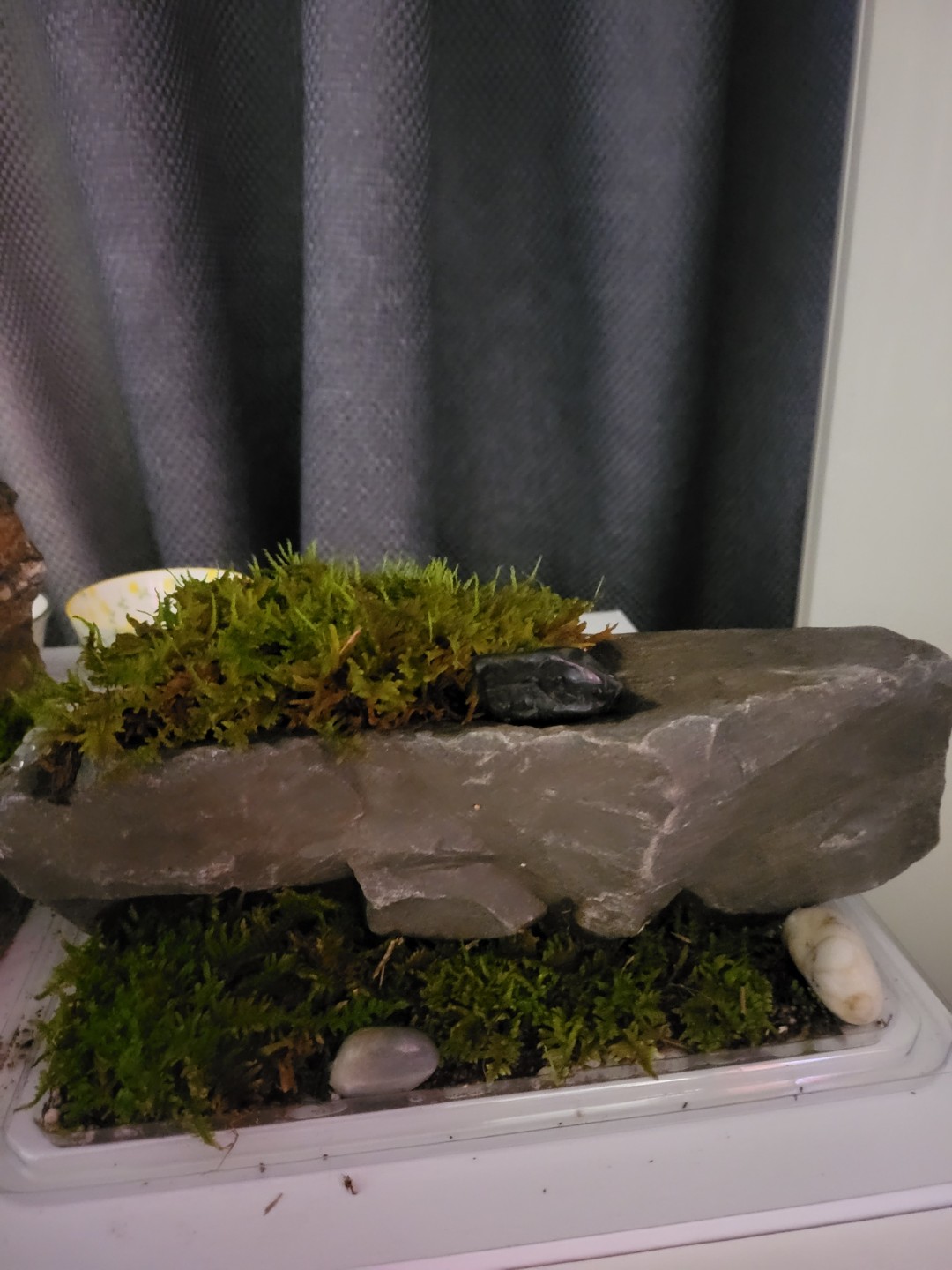 Post image 4