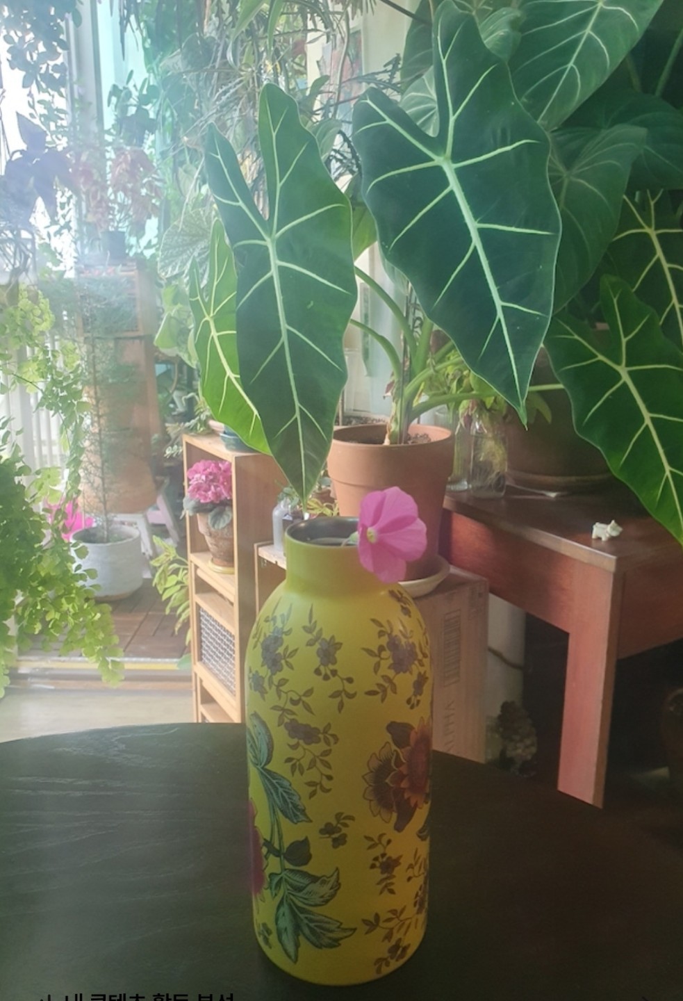 Post image 28