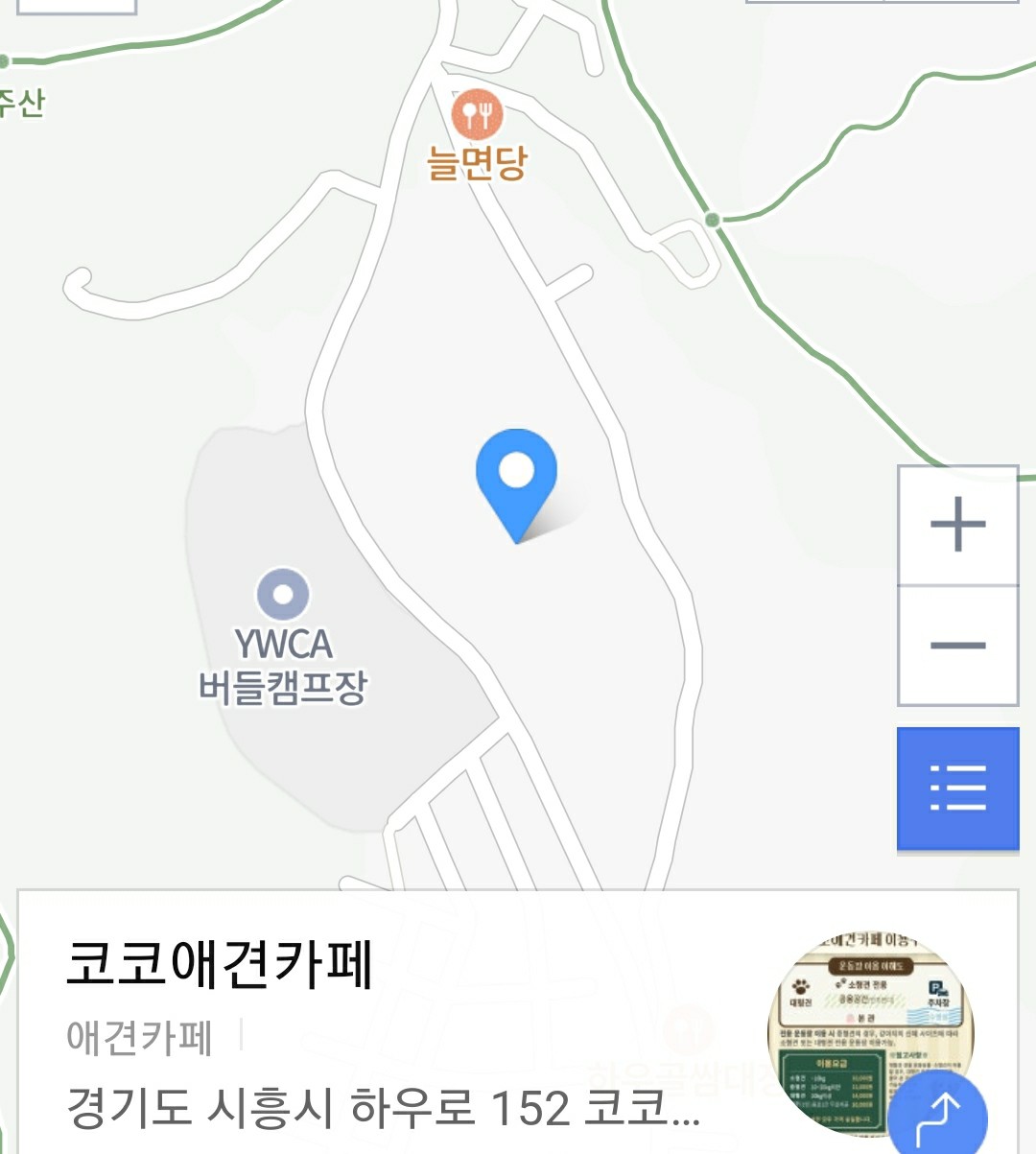 넓은 운동장이 있는 애견카페 리스트