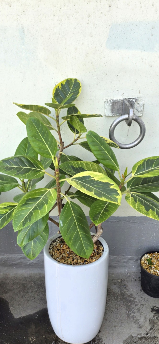 Post image 3