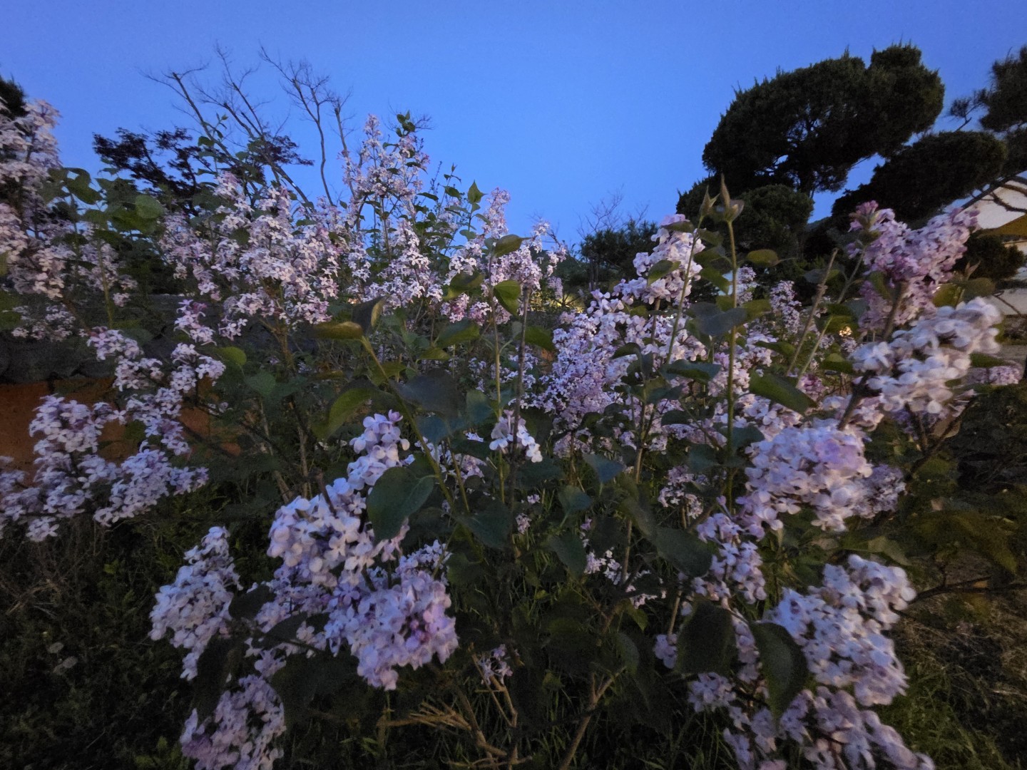 Post image 5