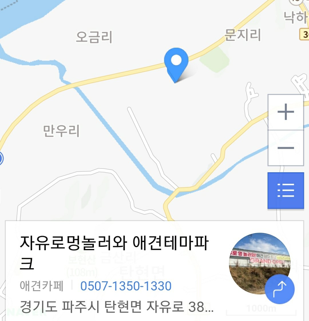 넓은 운동장이 있는 애견카페 리스트