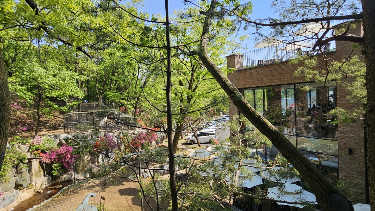 Post image 15