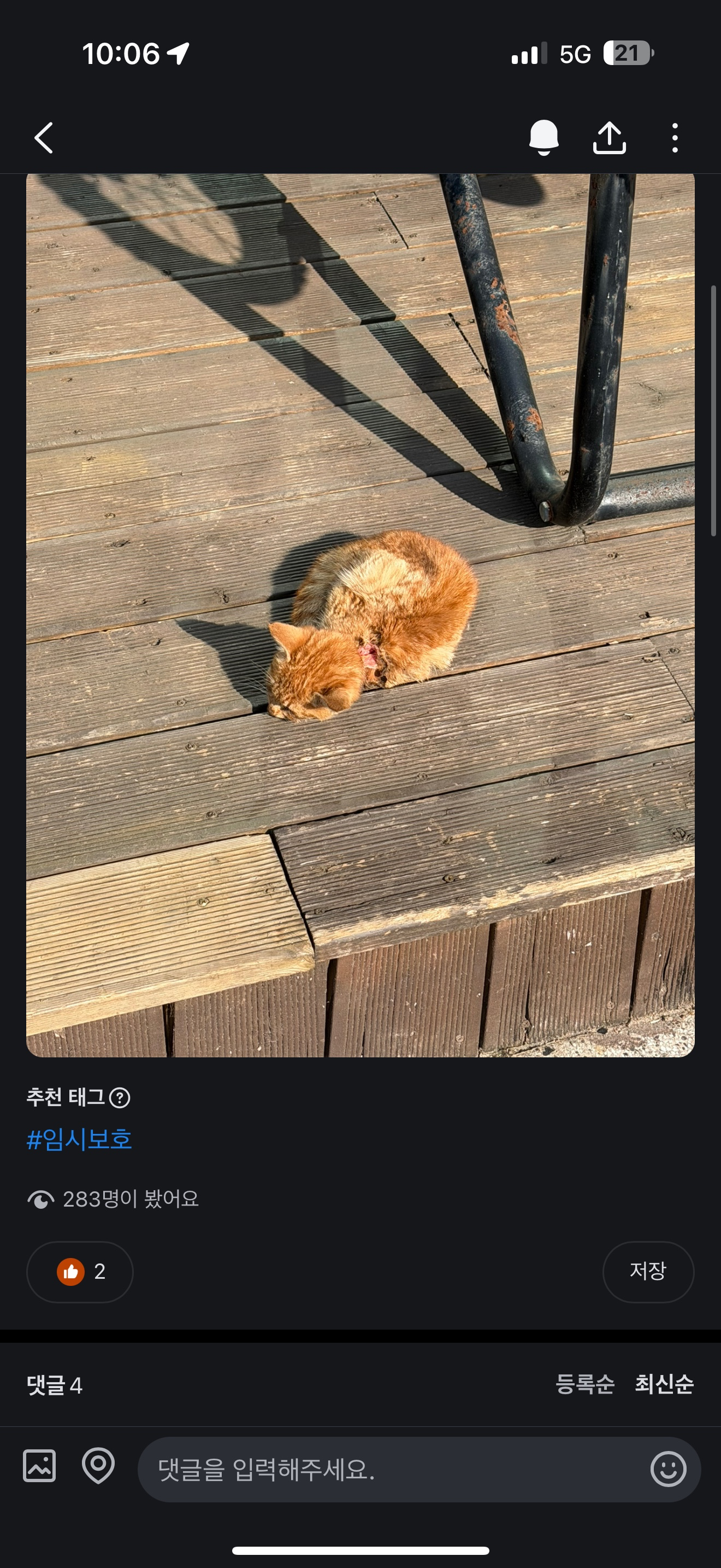 “샤샤” 잘 지내고 있어요