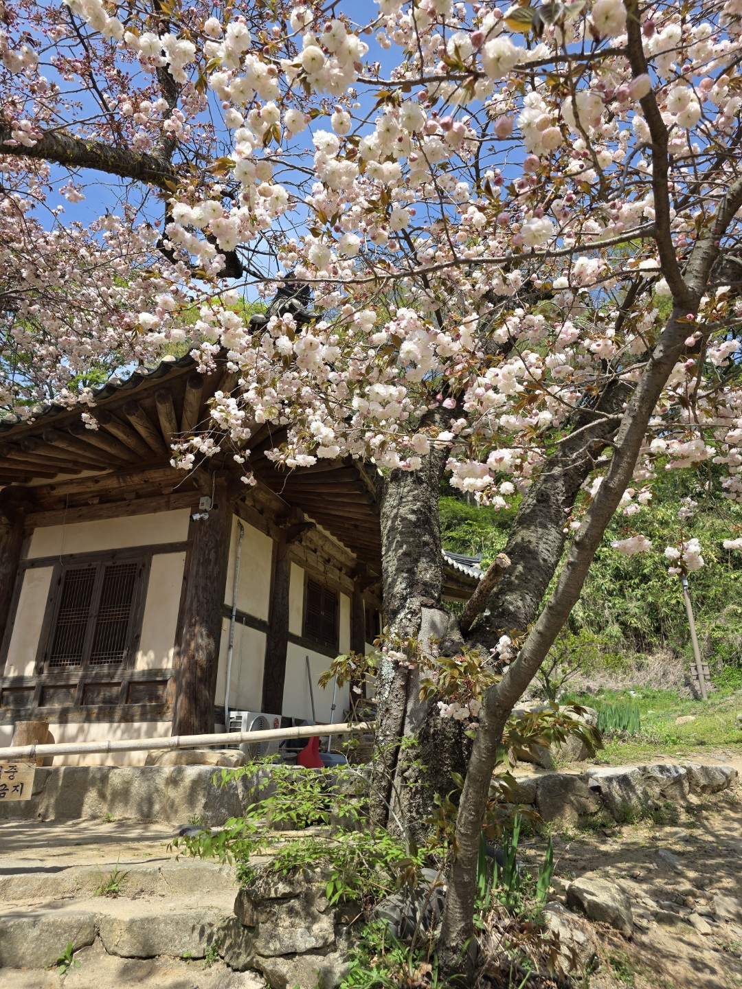 ❤ 2026년 4월 20일 월요일 출석부 ❤