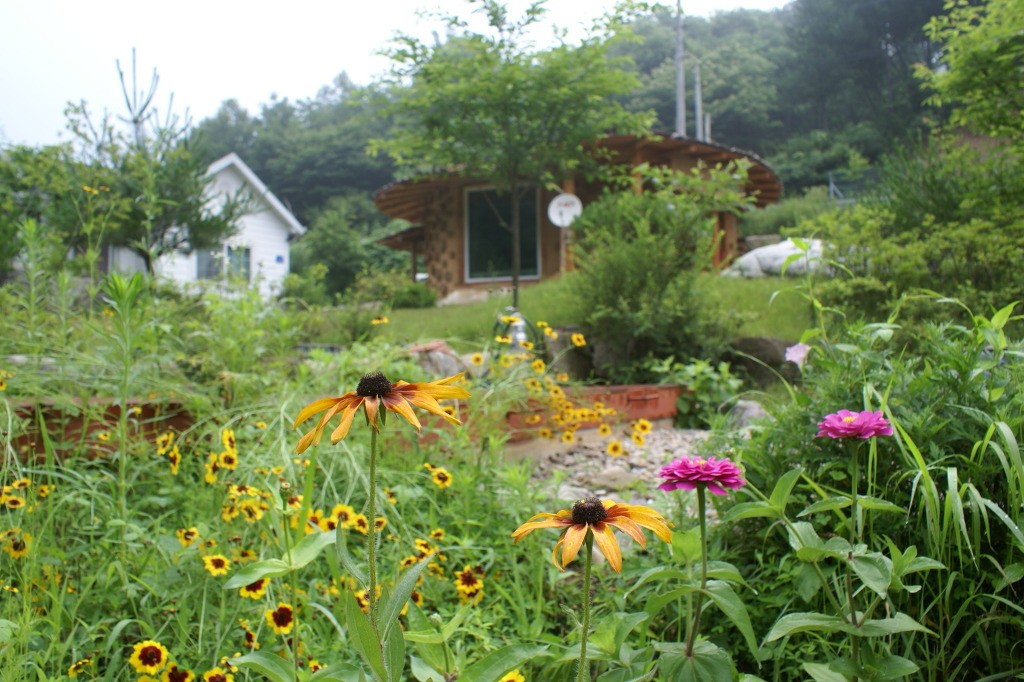 Post image 9