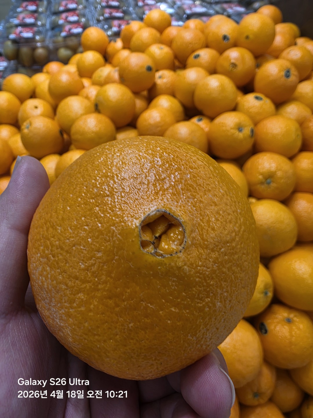 오렌지가 맛있어요!