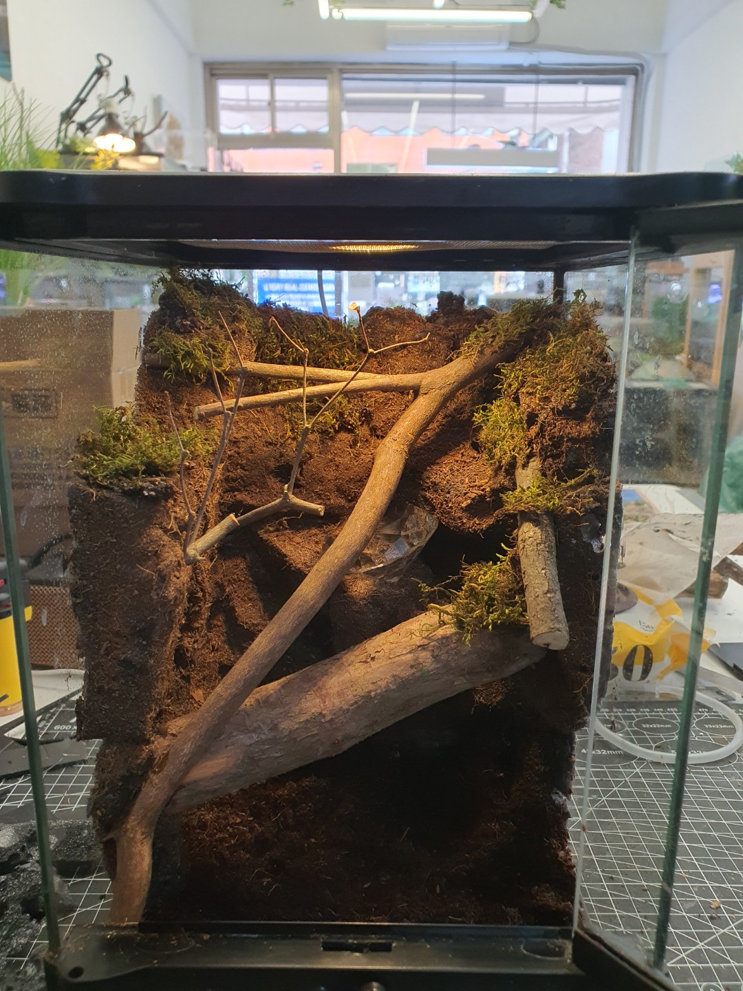 Post image 5
