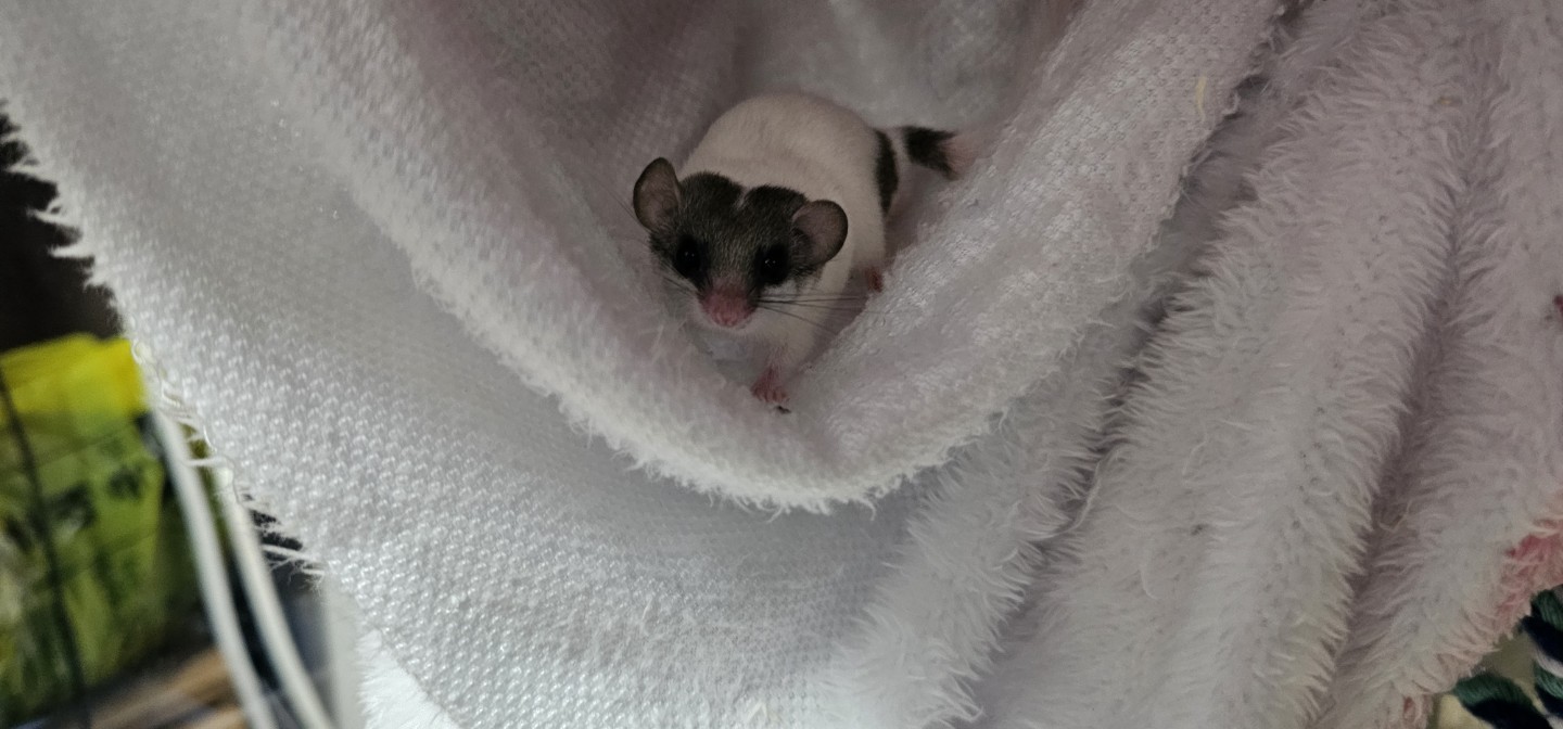 방금 가입했습니다