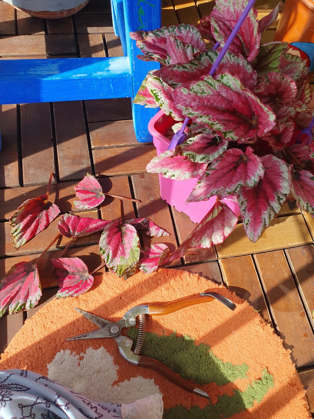 Post image 29