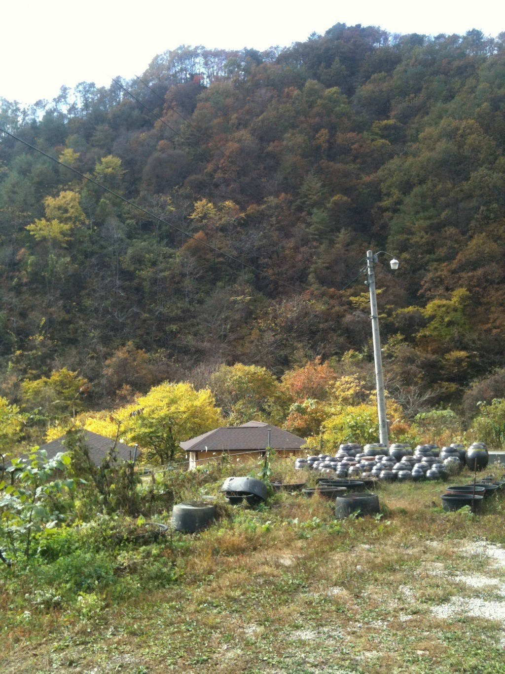 Post image 3