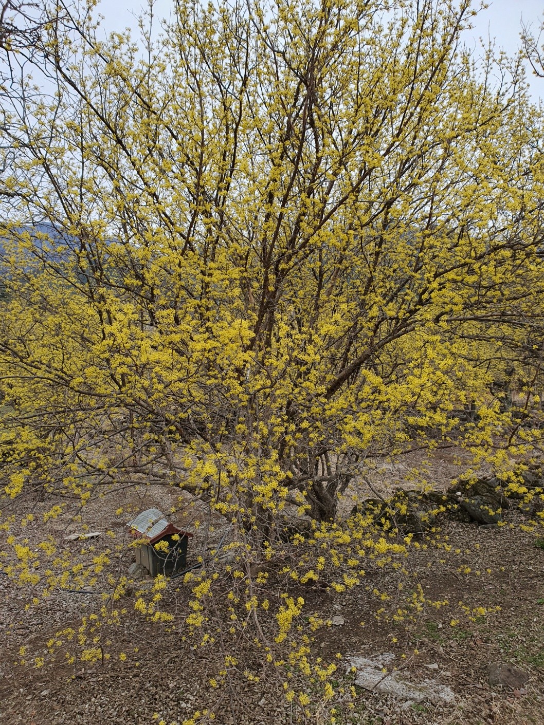 Post image 4
