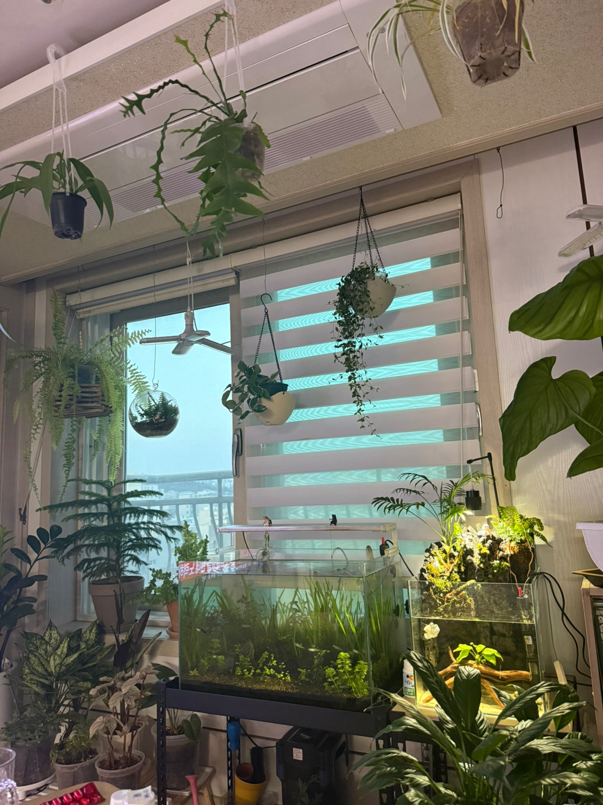 주말은 식집사도 쉬고싶지만