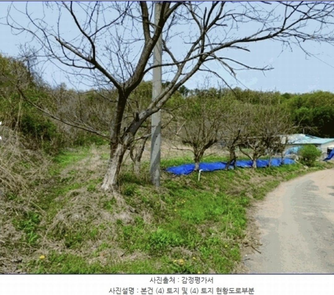 Post image 10